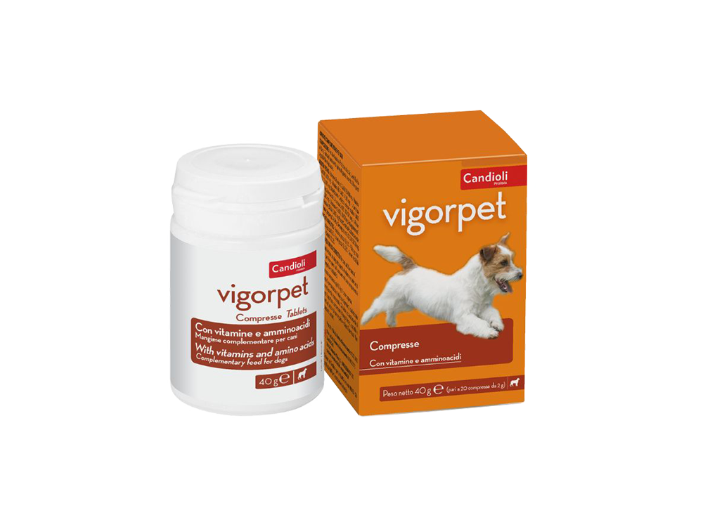קופסת Vigoret PS124 – 20 טבליות תזונה לכלבים לשיקום אנרגיה וחיוניות.