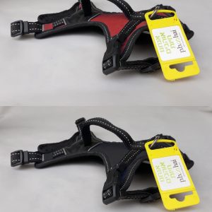 רתמת ספורט מרופדת L של פ.ב.שי – בצבע שחור או אדום, עם ריפוד, אבזם קדמי וידית שליטה עליונה.