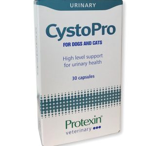 צ׳יסטו פרו תוסף תזונה לשמירה על מערכת השתן CystoPro