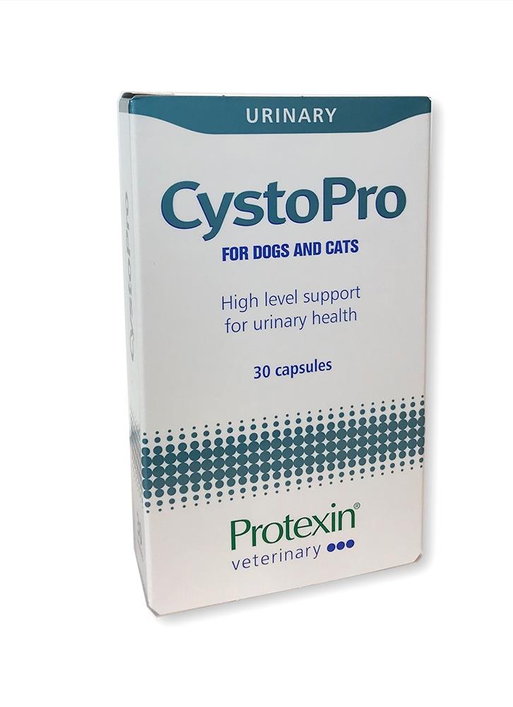 צ׳יסטו פרו תוסף תזונה לשמירה על מערכת השתן CystoPro