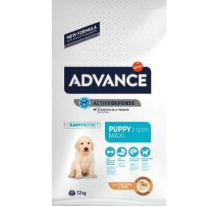אדוונס עוף לגור כלב גדול Advance