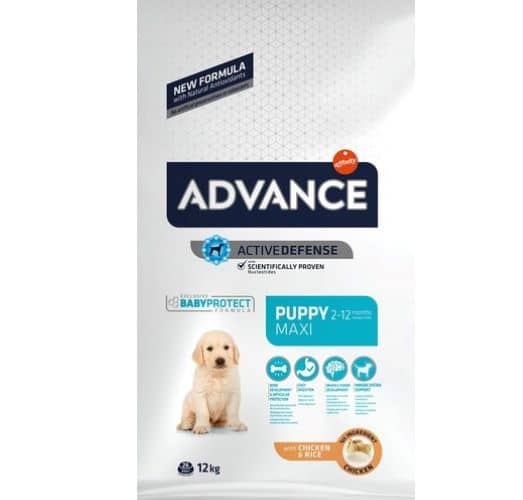 אדוונס עוף לגור כלב גדול Advance