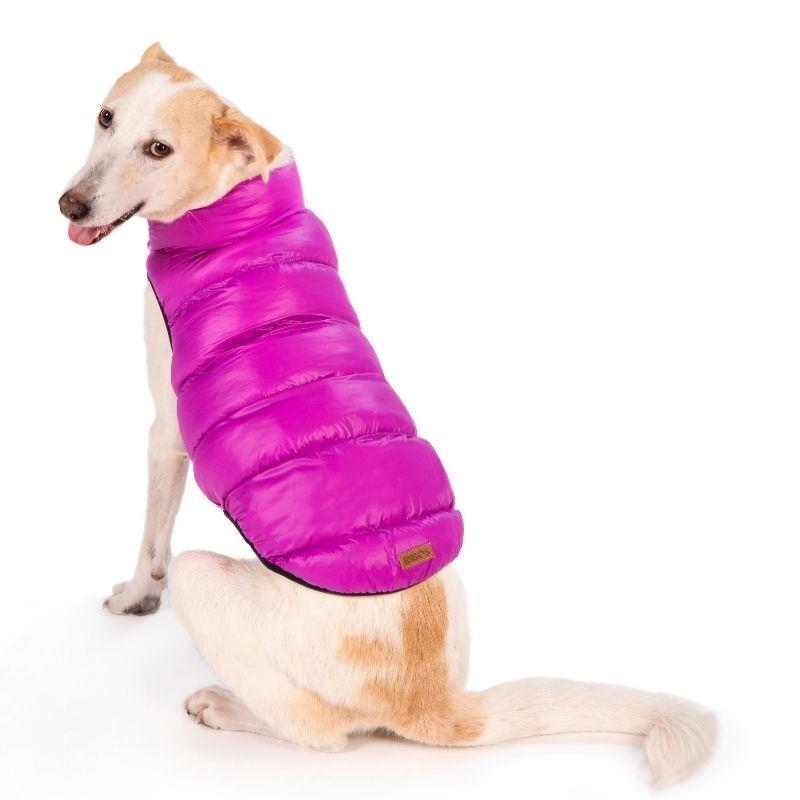 מעיל גשם דו צדדי אפור סגול לכלב 11 Rebus