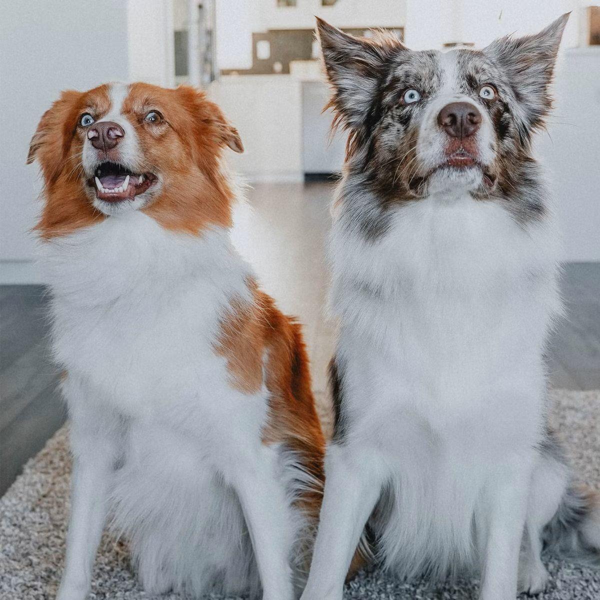 eaec57d2cc4a8e18cb25 eaec57d2cc4a8e18cb25