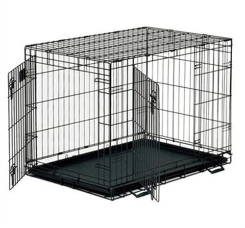 מתאים לשימוש יומיומי בחינוך ואילוף.