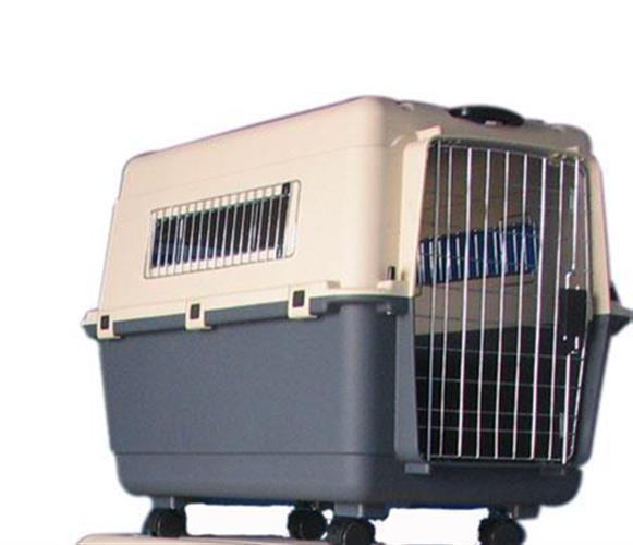 איידוג כלוב נשיאה ענק Idog