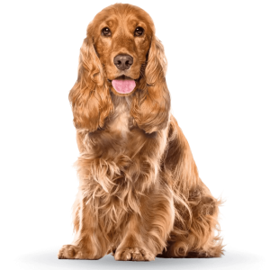 f4beda5f9390cab99376