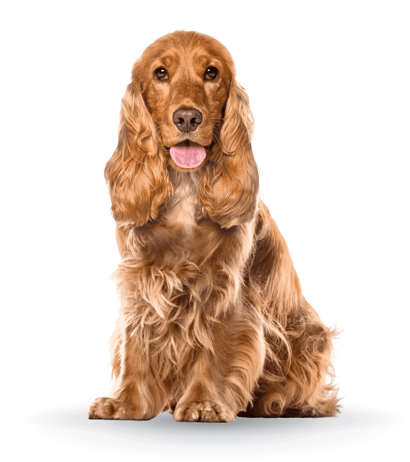 f4beda5f9390cab99376