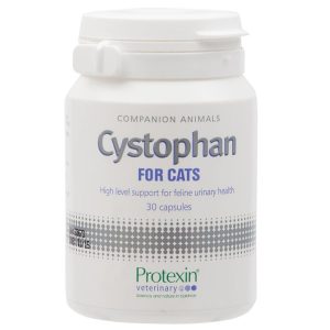 צ׳יסטופאן 1