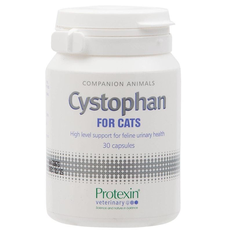 צ׳יסטופאן 1