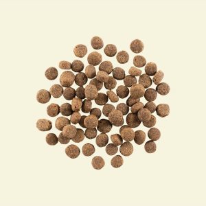 נאו כלב בוגר סניור 10 קג Now כופתאות נאו כלב בוגר סניור 10 קג Now כופתאות