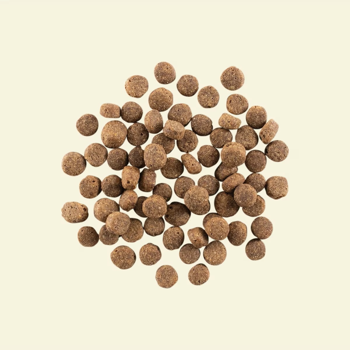 נאו כלב בוגר סניור 10 קג Now כופתאות נאו כלב בוגר סניור 10 קג Now כופתאות