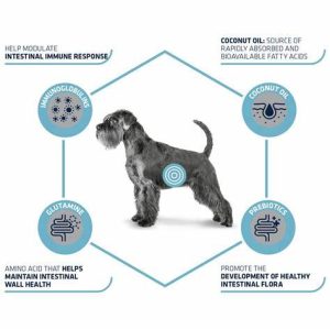 אדווס גסטרו לכלב 12 קג תרשים