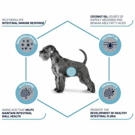 אדווס גסטרו לכלב 12 קג תרשים