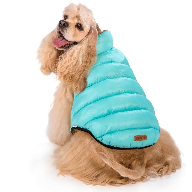 מעיל גשם דו צדדי תכלת מוקה לכלב 11 Rebus