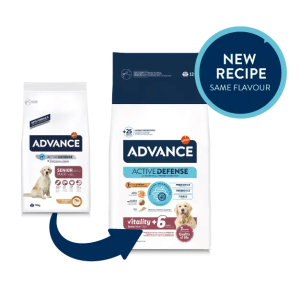 מכיל הגנה אקטיבית (אימונוגלובולינים ופוליפנולים) לשיפור פעילות מערכת החיסון.