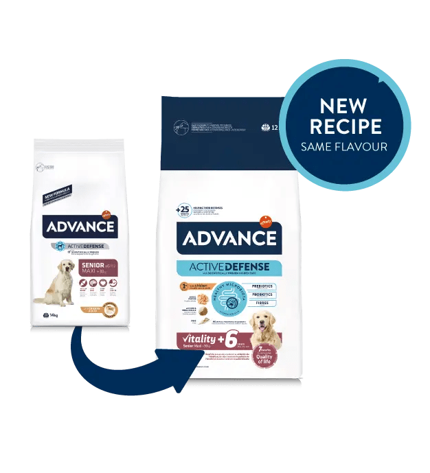 מכיל הגנה אקטיבית (אימונוגלובולינים ופוליפנולים) לשיפור פעילות מערכת החיסון.