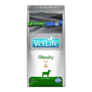 שק מזון יבש רפואי לכלבים להפחתת משקל עם דג