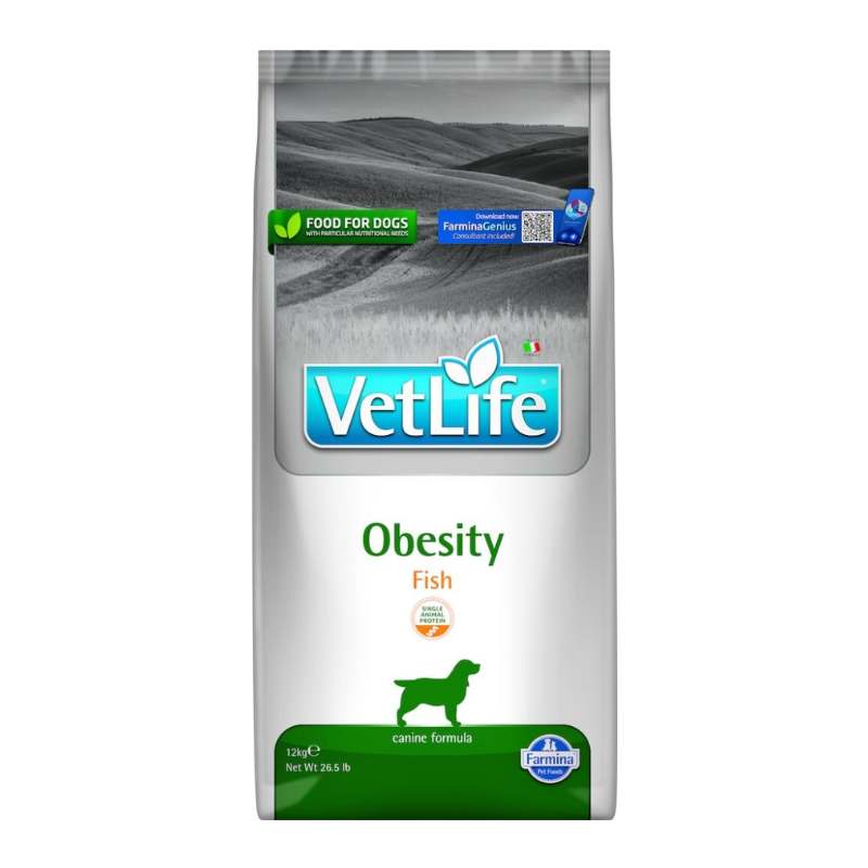 שק מזון יבש רפואי לכלבים להפחתת משקל עם דג