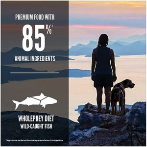 תזונה איכותית דלת דגן עם חלבון דגים טבעי מהים, תוספי פרוביוטיקה ואומגה, המעצימה עור, פרווה, עיכול וחיסון.