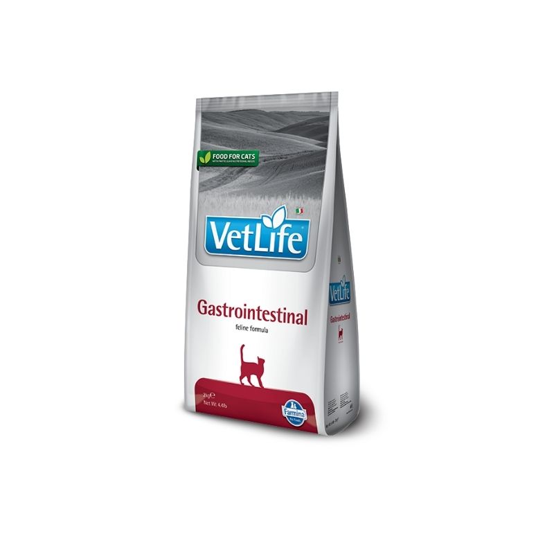 גסטרו לחתול 2