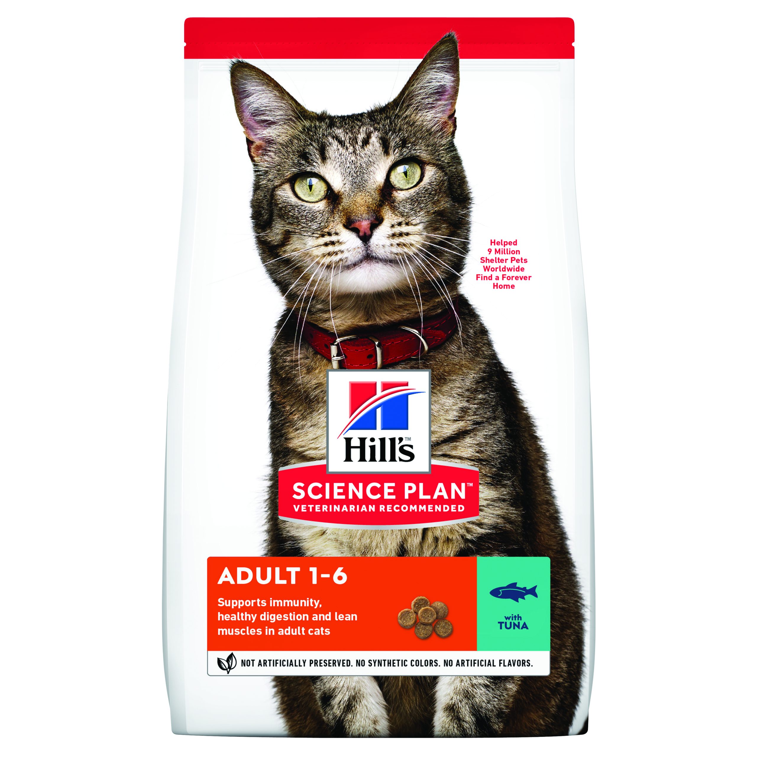 שק מזון יבש לחתולים בוגרים עם טונה.