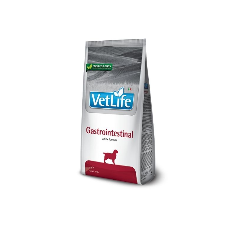 וט לייף גסטרו לכלב 2 וט לייף גסטרו לכלב 2