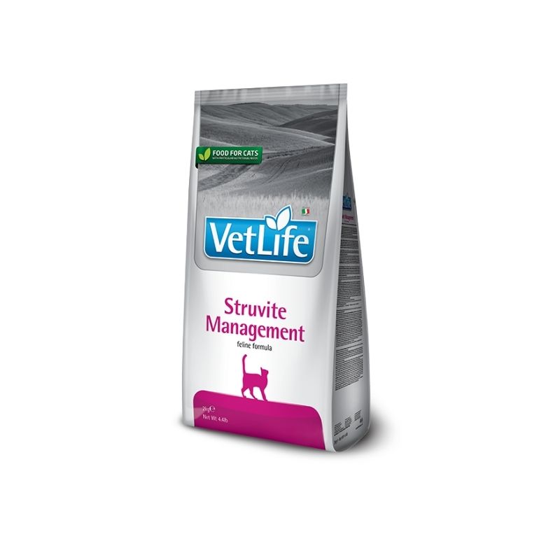 שק מזון יבש רפואי לחתולים למניעת אבני סטרובייט בדרכי השתן