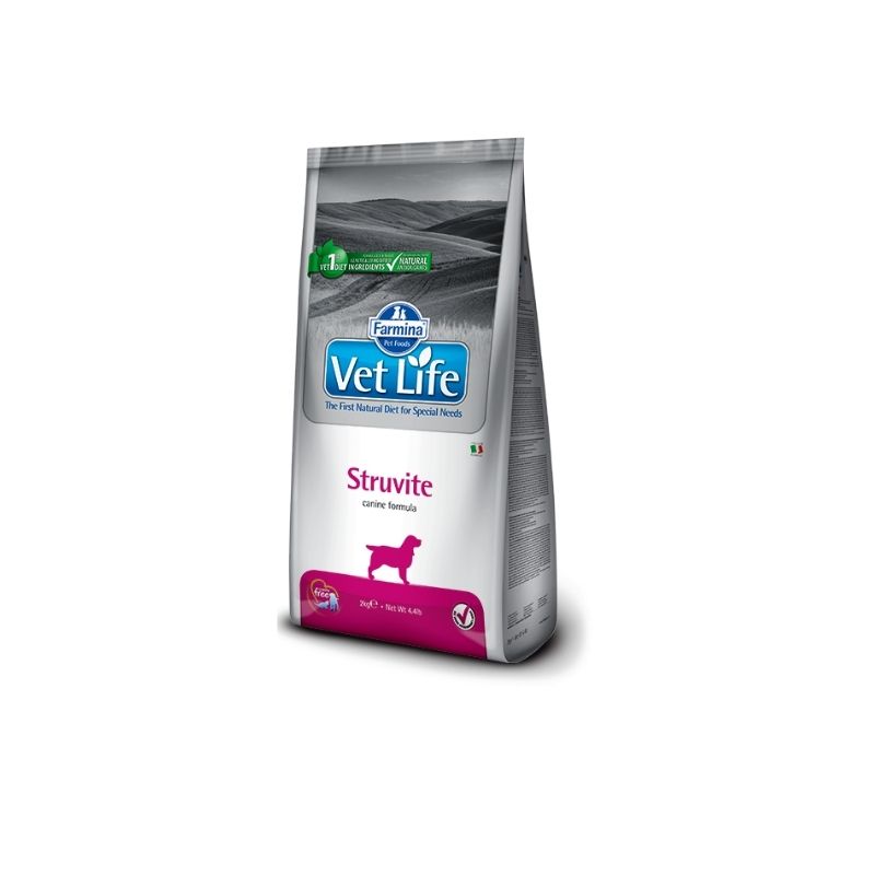 סטרוויט 2 סטרוויט 2