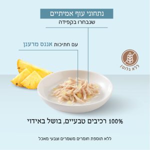 שזיר 75 גרם נתחוני עוף עם אננס תמונה