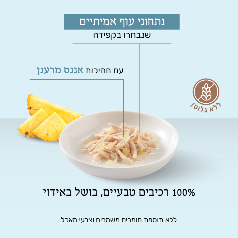 שזיר 75 גרם נתחוני עוף עם אננס תמונה