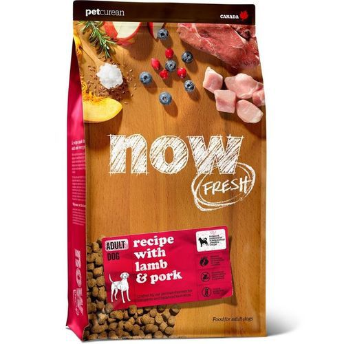 נאו כלב בוגר בשר אדום 10 קג Now נאו כלב בוגר בשר אדום 10 קג Now