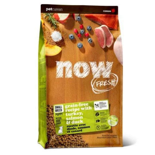 נאו גורים גזע S קטן 2.7 קג Now נאו גורים גזע S קטן 2.7 קג Now