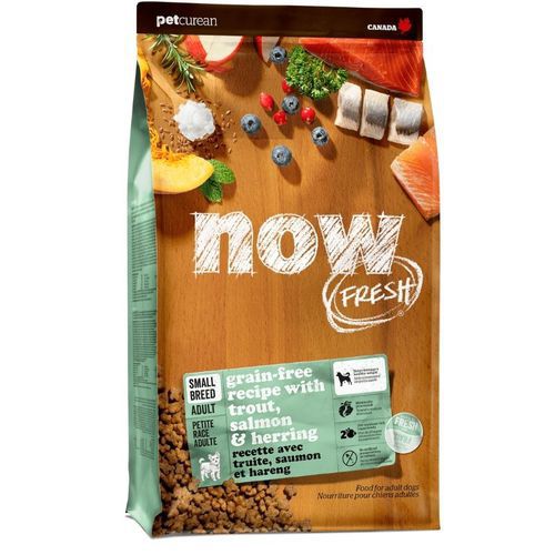 נאו כלב בוגר גזע קטן 1.6 קג NOW נאו כלב בוגר גזע קטן 1.6 קג NOW