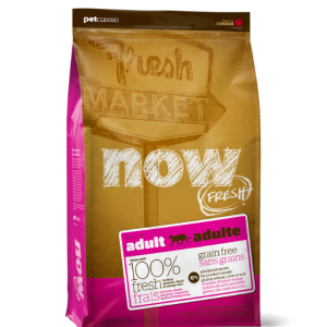 נאו חתול בוגר Now 7.3 הודו