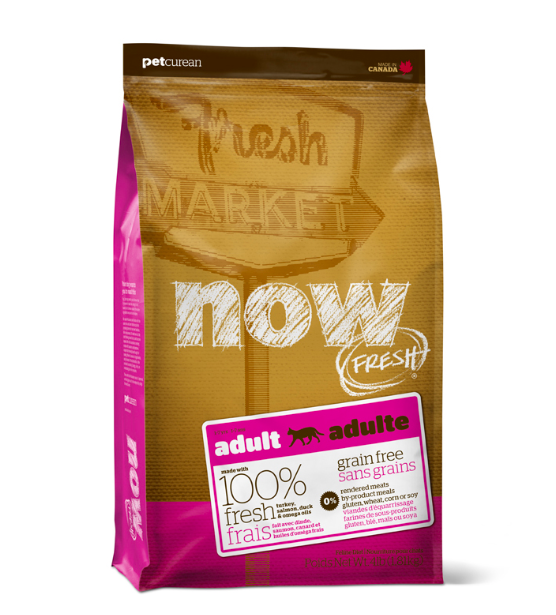 נאו חתול בוגר Now 7.3 הודו