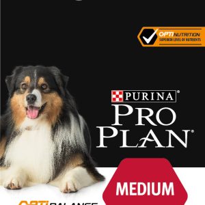 14 קג כלב בינוני רגיש