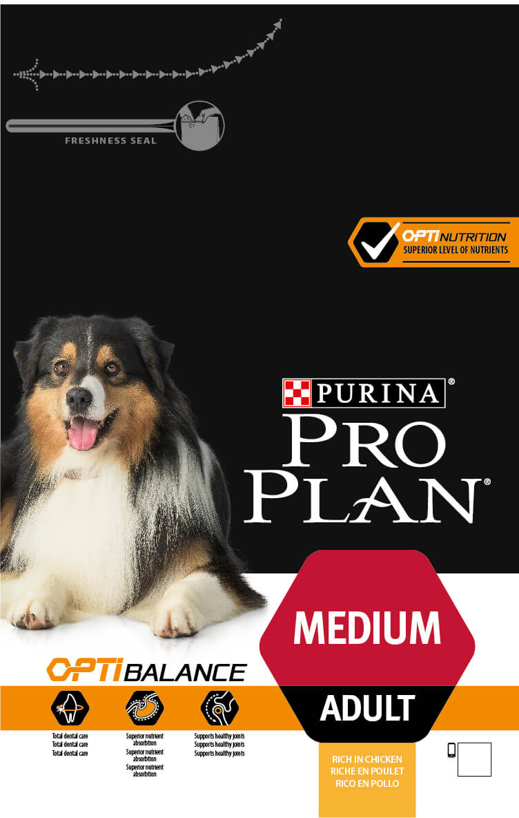 14 קג כלב בינוני רגיש