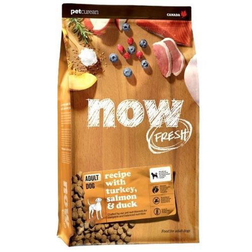 נאו כלב בוגר 10 קג Now נאו כלב בוגר 10 קג Now