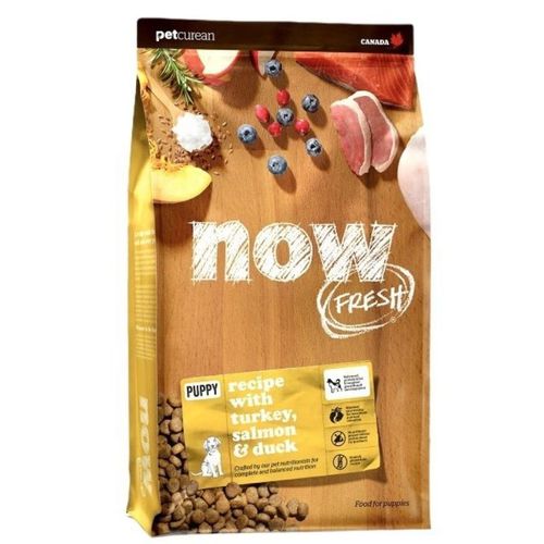 נאו גורים 1.6 קג Now נאו גורים 1.6 קג Now