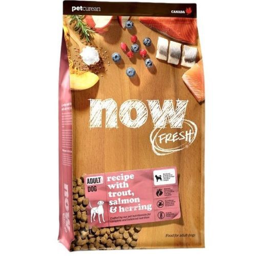 נאו כלב בוגר דגים 10 קג Now נאו כלב בוגר דגים 10 קג Now