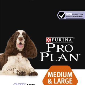 מזון יבש איכותי לכלבים מבוגרים מגזע בינוני וגדול, לתמיכה בבריאות הקוגניטיבית, המפרקים והמערכת החיסונית.