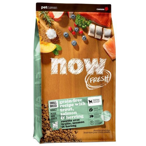 נאו כלב בוגר גזע קטן דגים 10 קג Now נאו כלב בוגר גזע קטן דגים 10 קג Now