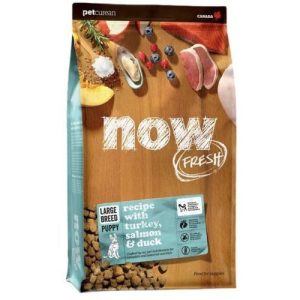 נאו כלב גורים גזע גדול 11.4 קג Now נאו כלב גורים גזע גדול 11.4 קג Now