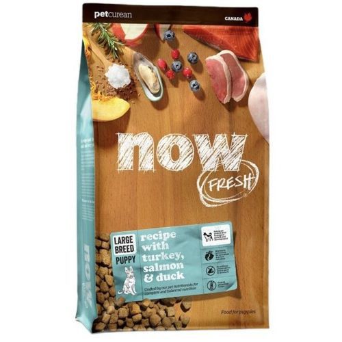 נאו כלב גורים גזע גדול 11.4 קג Now נאו כלב גורים גזע גדול 11.4 קג Now