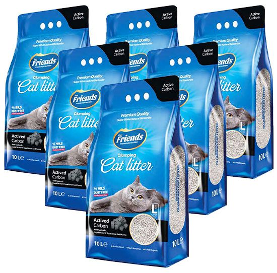 פרנדס חול תמונה משותפת פרנדס חול תמונה משותפת