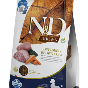 כלב חום בוגר 2 קג