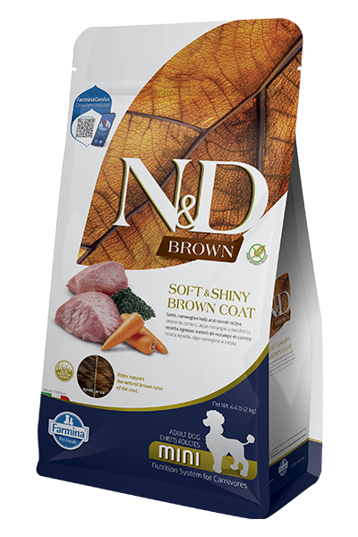 כלב חום בוגר 2 קג