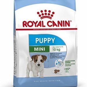 רויאל קנין SHN מיני פאפי 4 קג-Royal Canin רויאל קנין SHN מיני פאפי 4 קג-Royal Canin