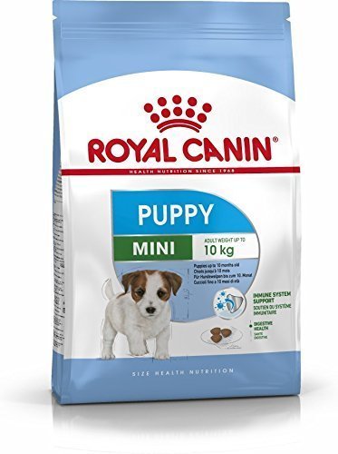 רויאל קנין SHN מיני פאפי 4 קג-Royal Canin רויאל קנין SHN מיני פאפי 4 קג-Royal Canin